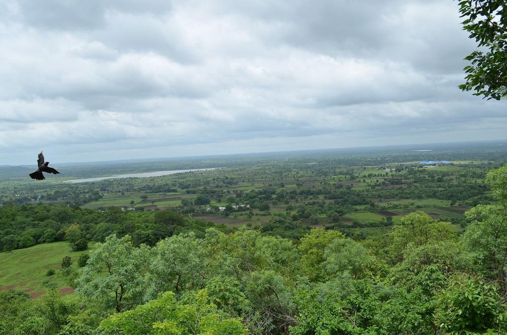 Forest-covered plains seen from Ananthagiri Hills