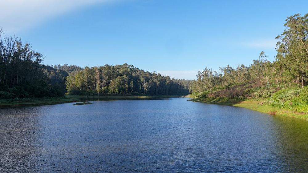 A calm lake ringed by forest near Ooty in the Nilgiris